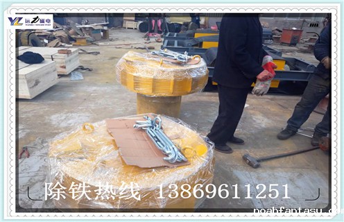 干式电磁除铁器利润