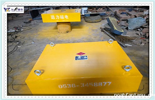 福建永磁除铁器rcyd 8